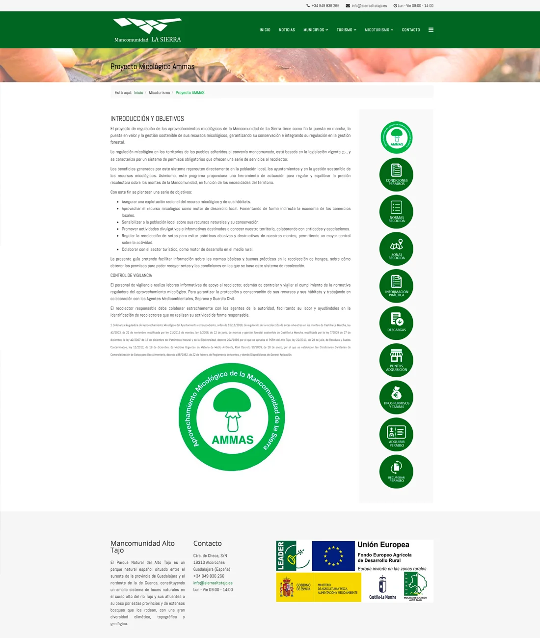 diseño página web Teruel
